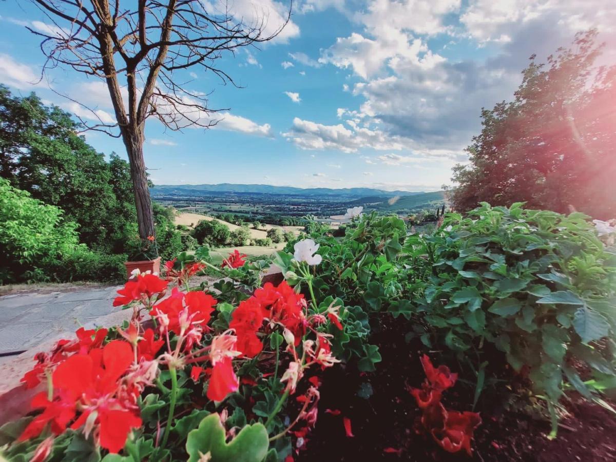 Al Podere Del Nonno Romolo Sansepolcro Exterior foto